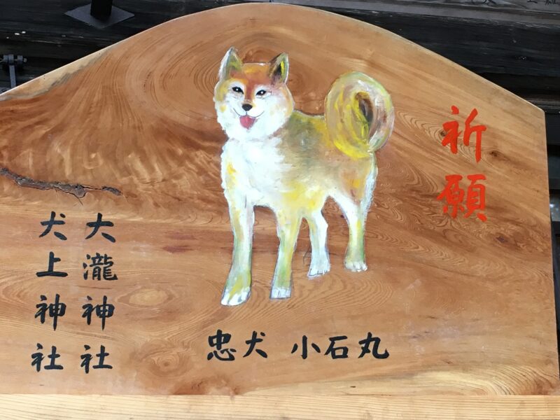 大瀧神社と犬上神社の絵馬、忠犬小石丸が描かれている