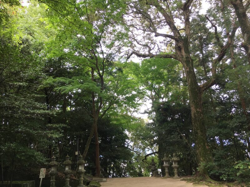 葛城坐火雷神社の境内