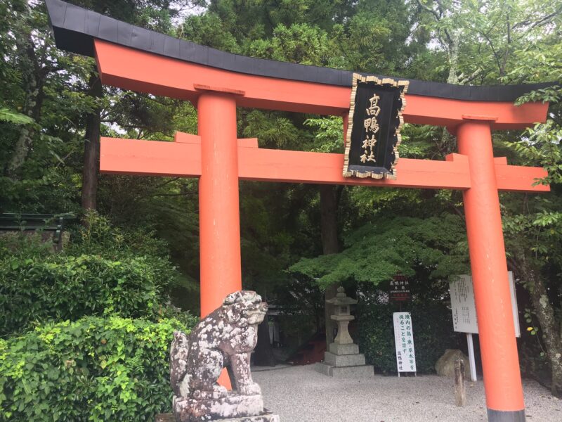 高鴨神社の鳥居と狛犬