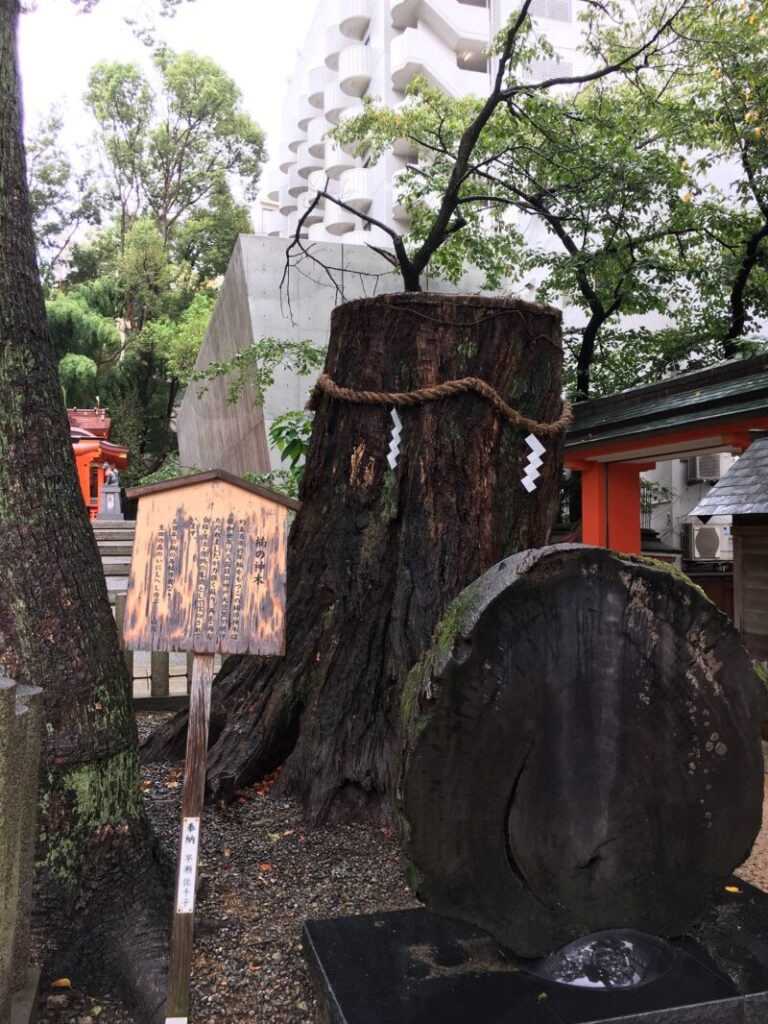生田神社のご神木
