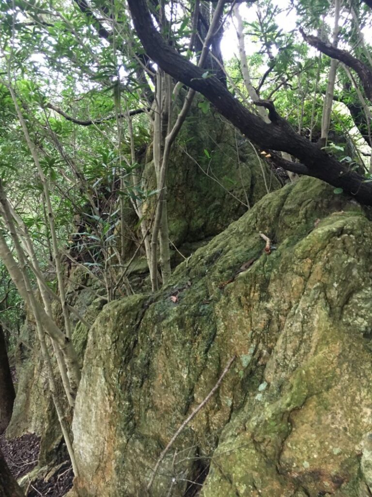 鸚鵡石周辺の磐座