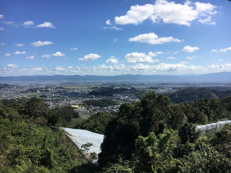 龍田山からの眺め
