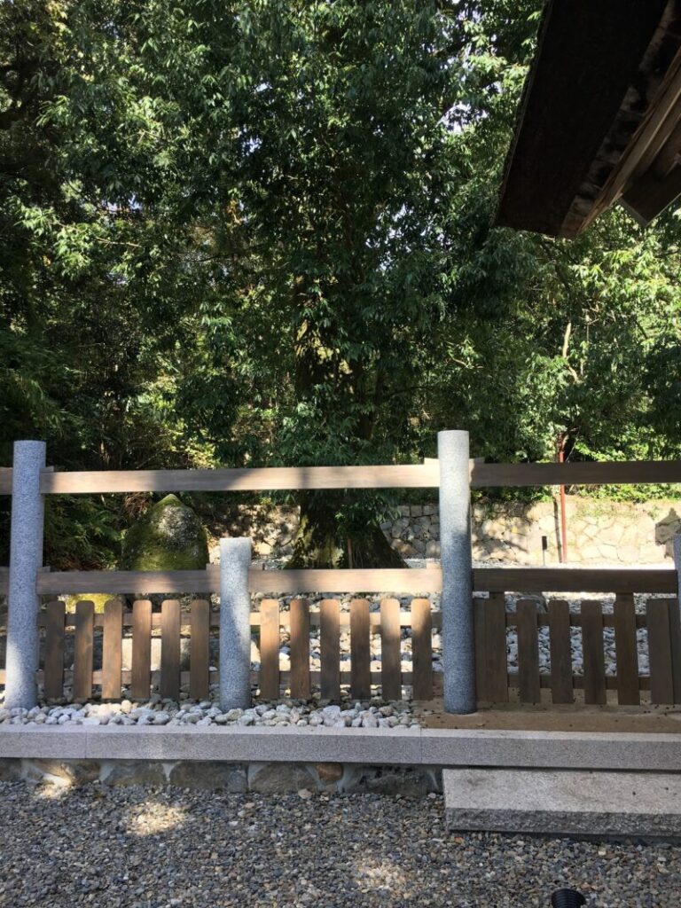 籠神社の神木と神石