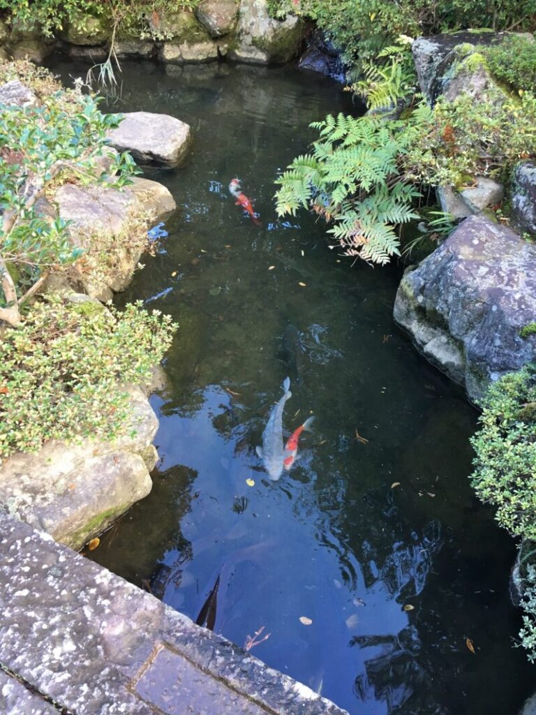 浦嶋神社の池