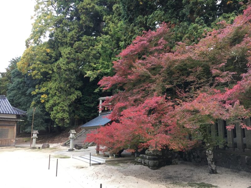 比沼麻奈為神社の紅葉