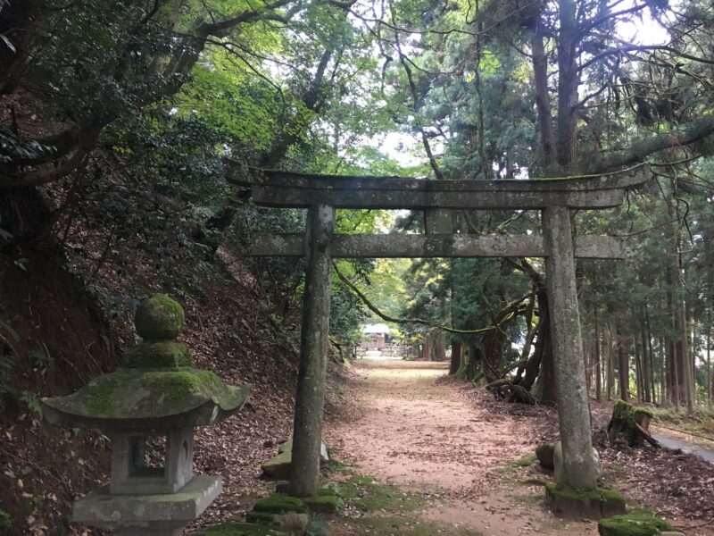 藤社神社の参道