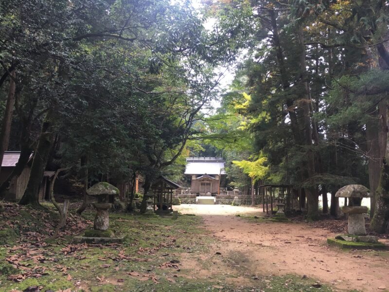 藤社神社の参道