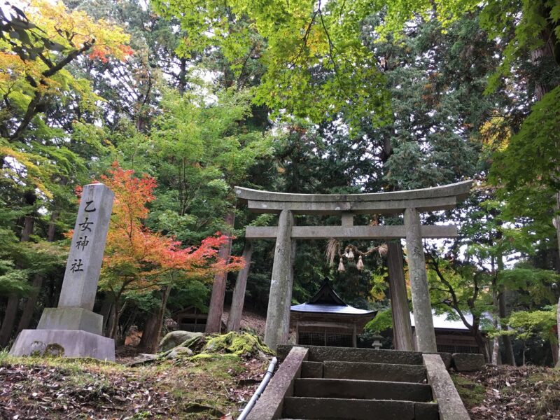 乙女神社の鳥居と社号碑