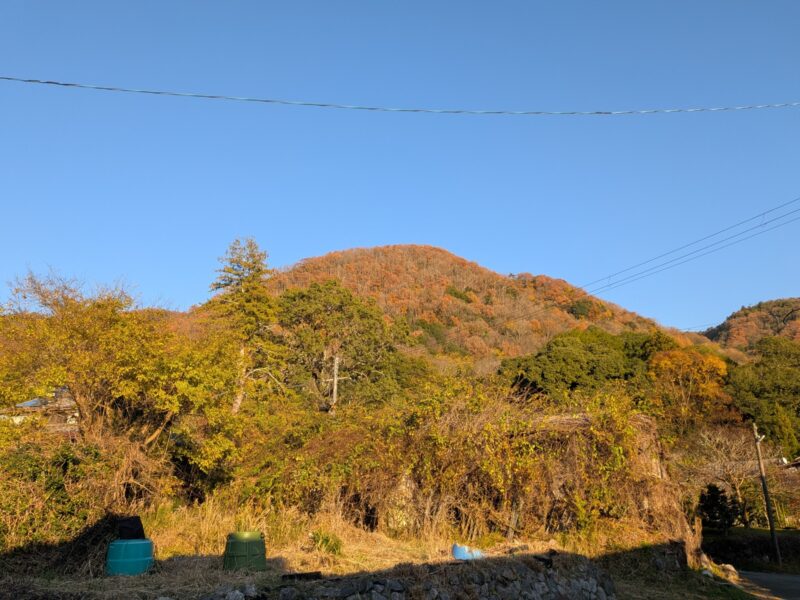 出雲大神宮の御蔭山